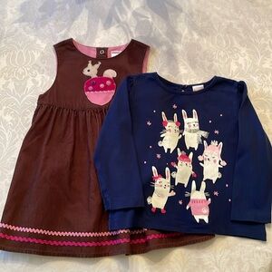 Gymboree Squirrel Dress (size 2T) and Winter Bunnies Top (size 3T)